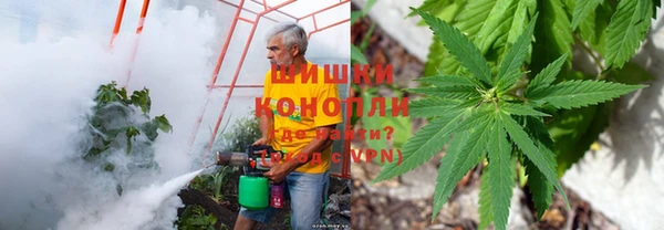 СК Осинники