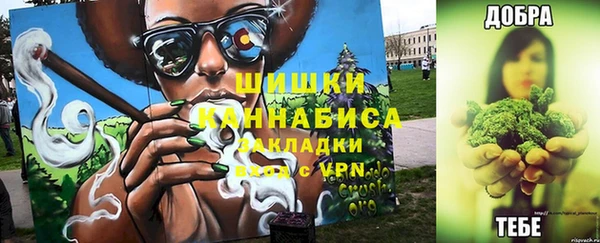 круглые Пересвет