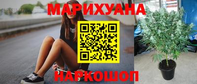 ECSTASY Нальчик