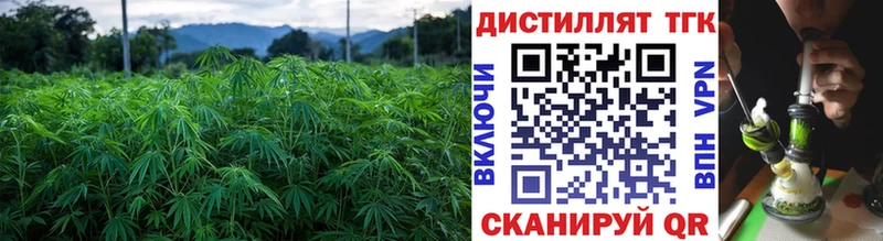 ТГК концентрат  Саки 
