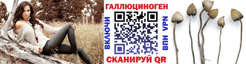 сколько стоит Саки Галлюциногенные грибы MAGIC MUSHROOMS