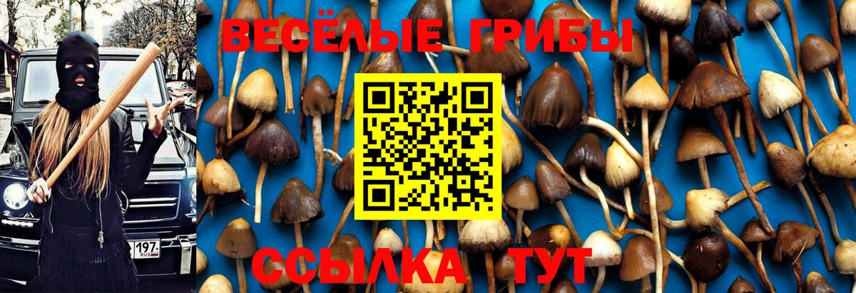Галлюциногенные грибы Cubensis  Галлюциногенные грибы Psilocybine cubensis  Саки  Вход с VPN 