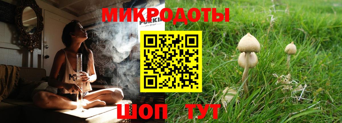 Псилоцибиновые грибы Cubensis Саки