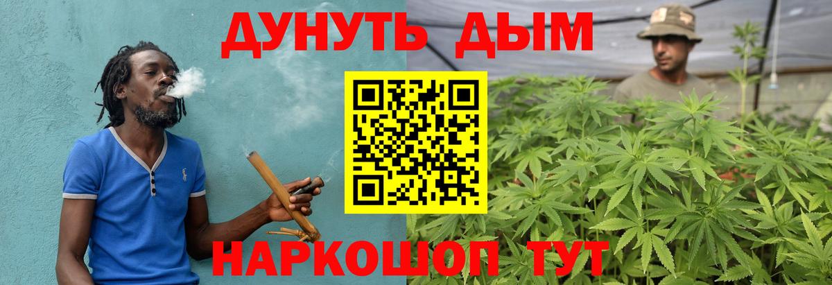 Шишки марихуана сатива  Вход с VPN  Канабис план  Саки  Бошки Шишки Ganja 